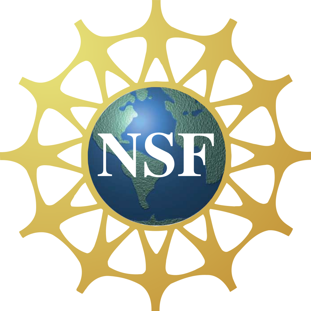 NSF Vulnerability Disclosure Policy logo