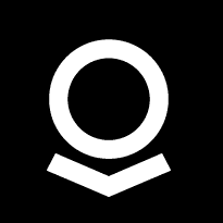 Palantir Public logo